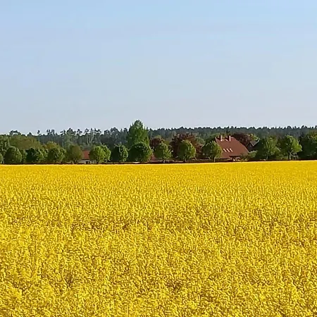 Altenmedinger Hof Bed & Breakfast