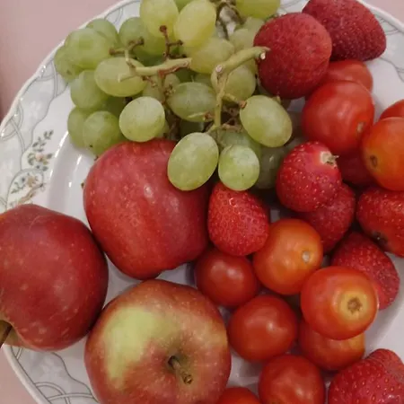 Altenmedinger Hof Frühstückspension *