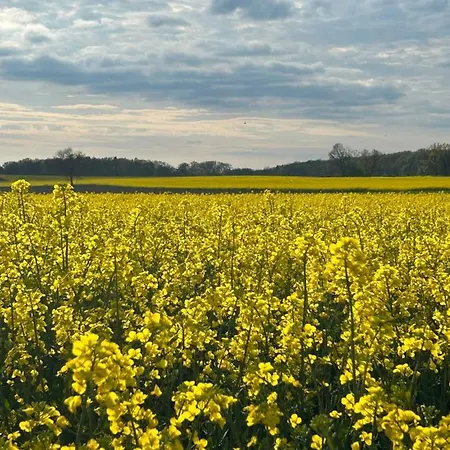 Altenmedinger Hof Frühstückspension