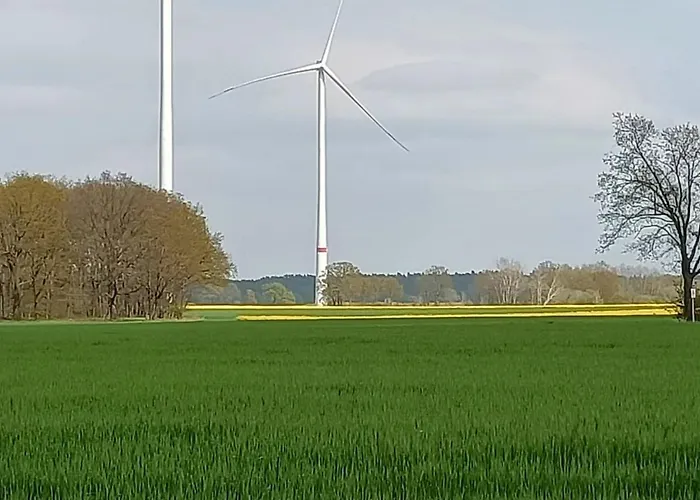 B&B Altenmedinger Hof 알텐메딩겐