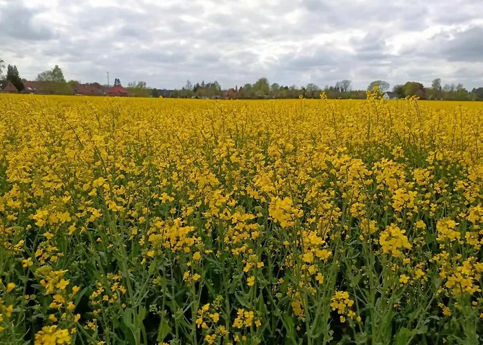 Bed & Breakfast Altenmedinger Hof