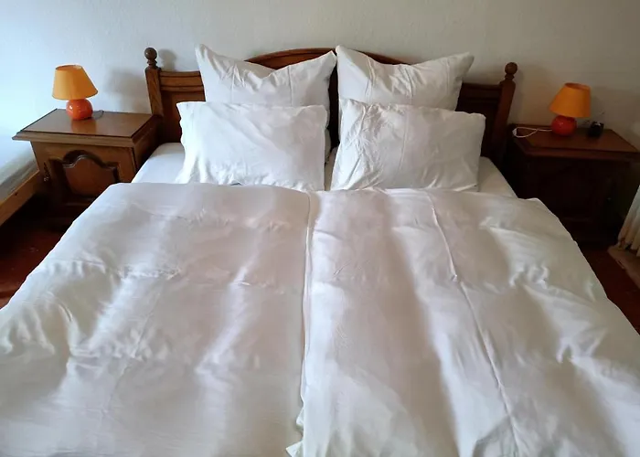 Altenmedinger Hof Bed & Breakfast *