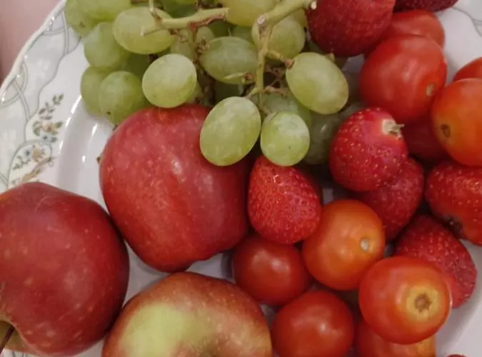 Altenmedinger Hof Bed & Breakfast *