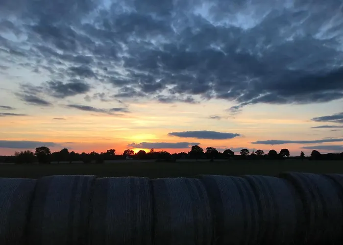 B&B Altenmedinger Hof