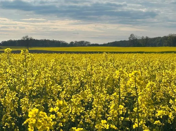 Altenmedinger Hof B&B