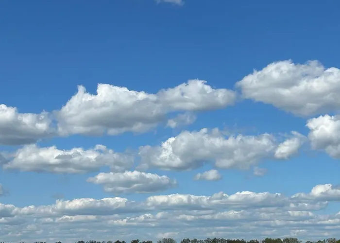 Altenmedinger Hof Bed & Breakfast